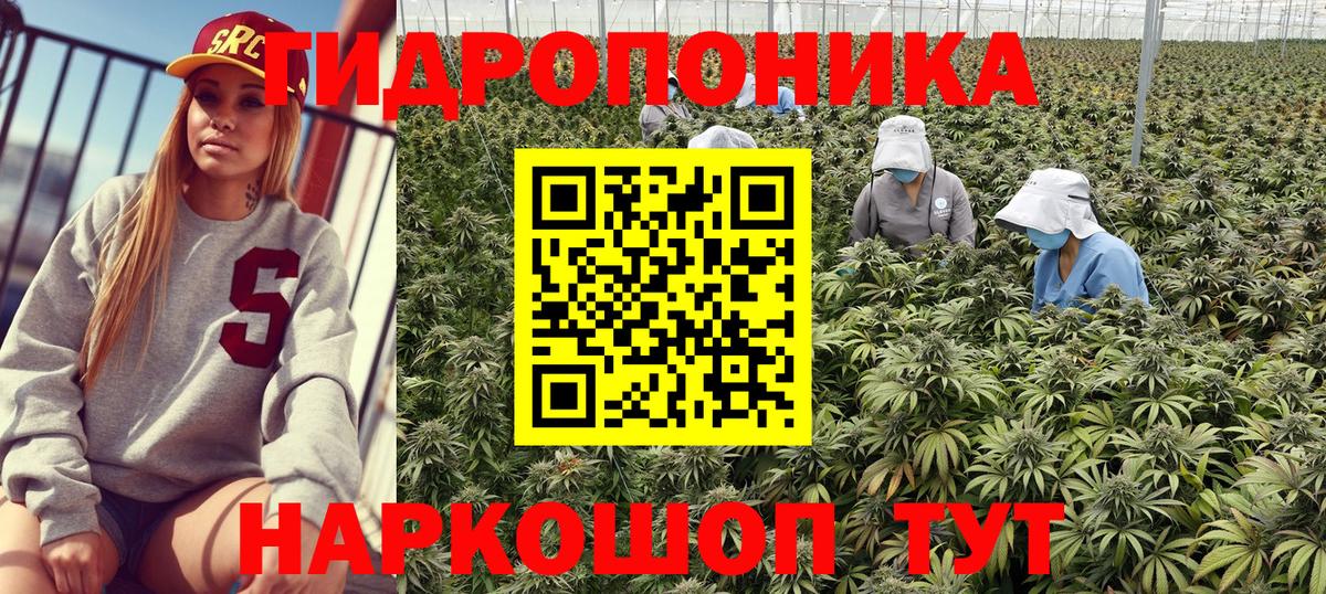 Бошки марихуана Bruce Banner  Бошки марихуана планчик  Кубинка  Вход с VPN 